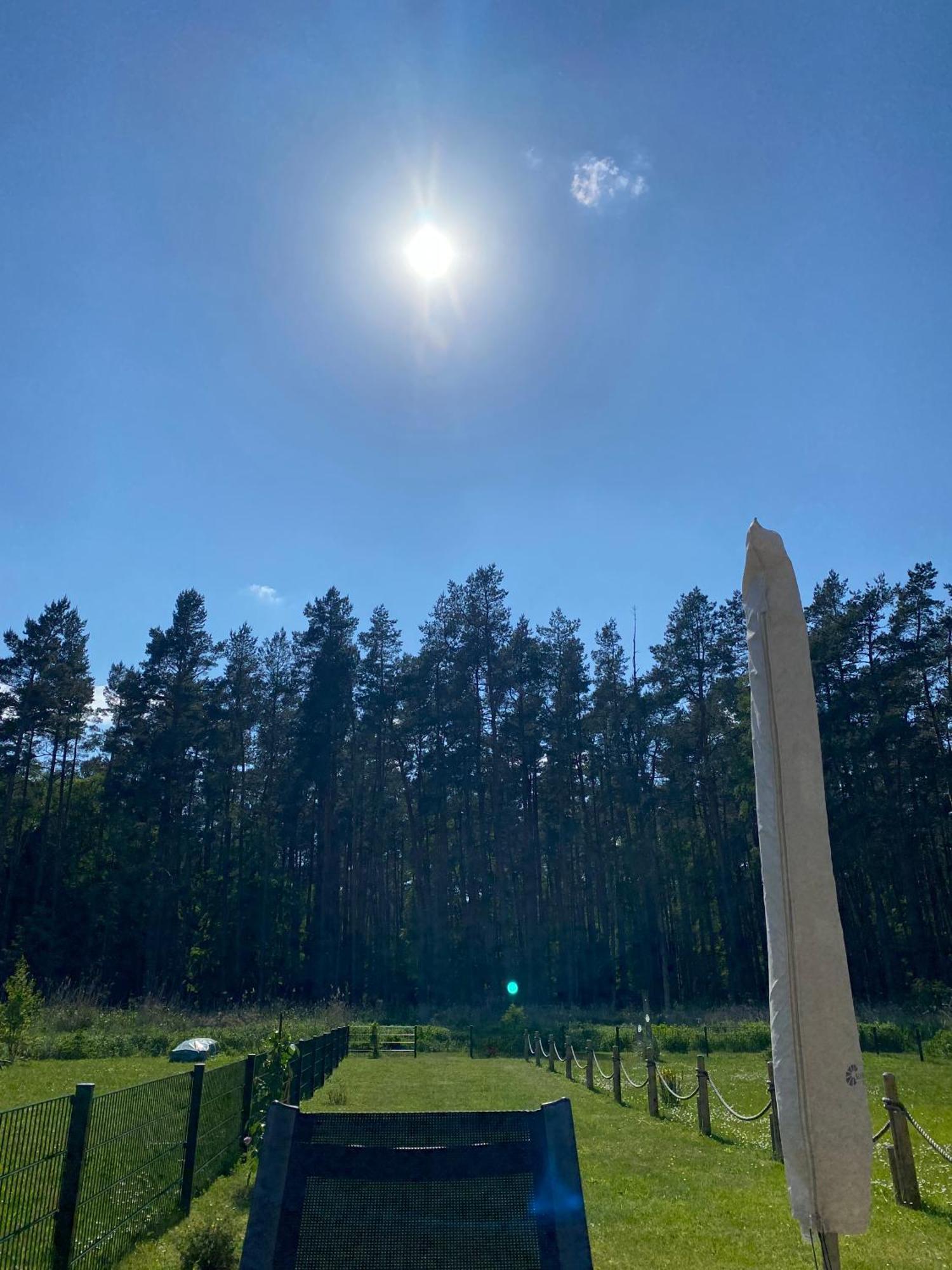 Lieblingsplatz Im Kuestenwald Graal-Mueritz Gelbensande Exteriér fotografie